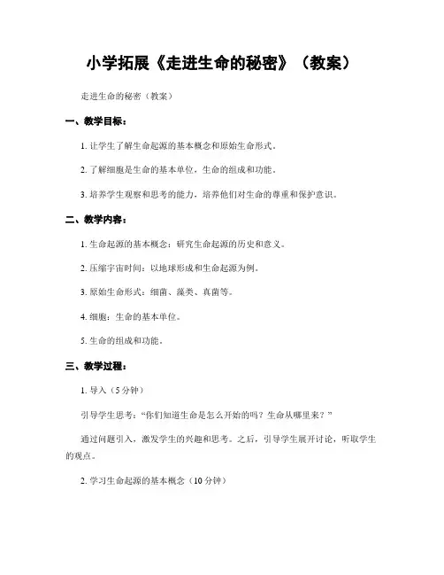小学拓展《走进生命的秘密》(教案)