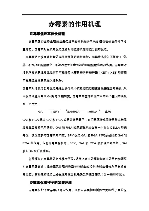 赤霉素作用机理