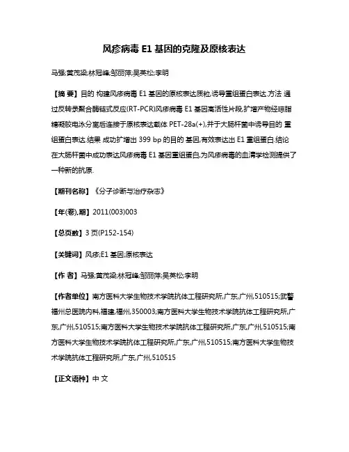 风疹病毒E1基因的克隆及原核表达