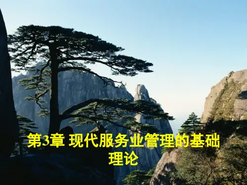 第3章现代服务业管理的基础理论