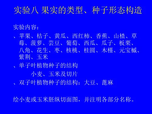 实验八果实的类型、种子形态构造