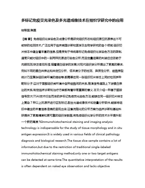 多标记免疫荧光染色及多光谱成像技术在组织学研究中的应用