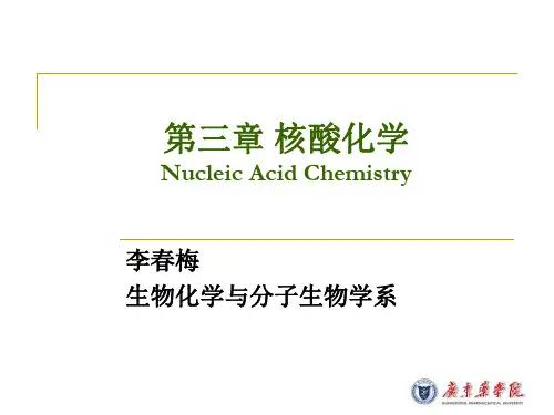 核酸的结构与功能(8)PPT