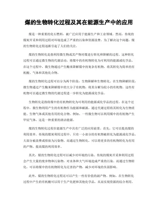煤的生物转化过程及其在能源生产中的应用