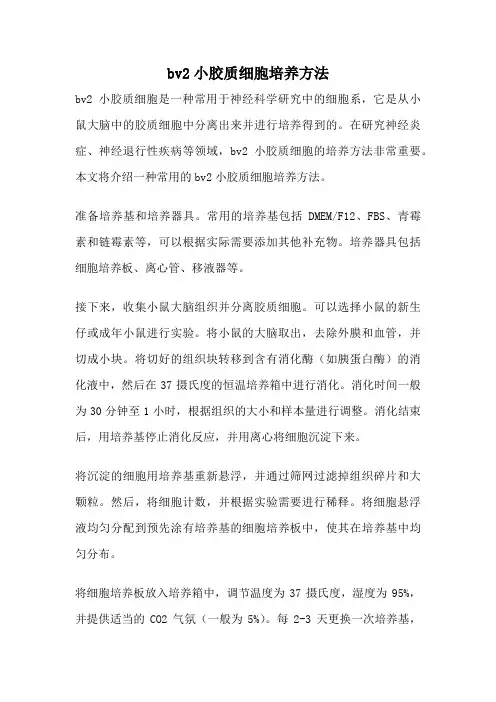 bv2小胶质细胞培养方法