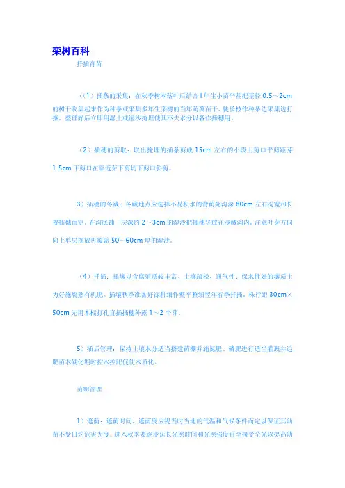 栾树百科