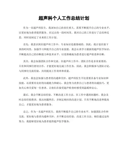超声科个人工作总结计划