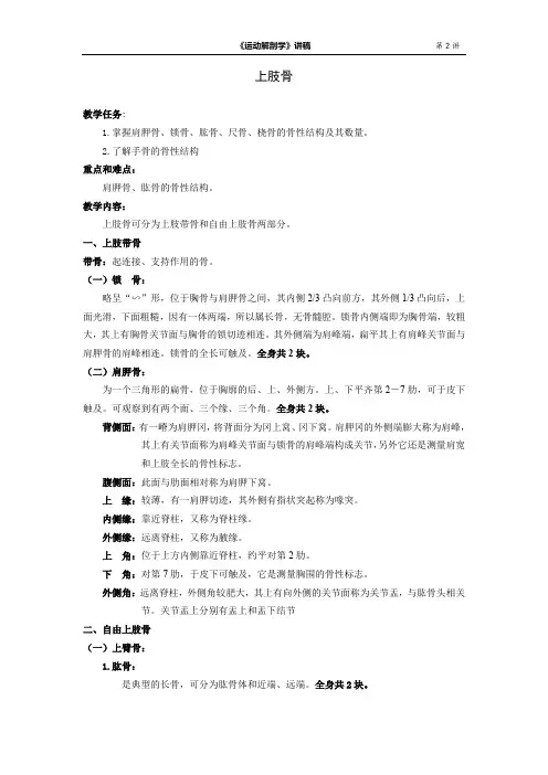 2-2上肢骨的结构与功能