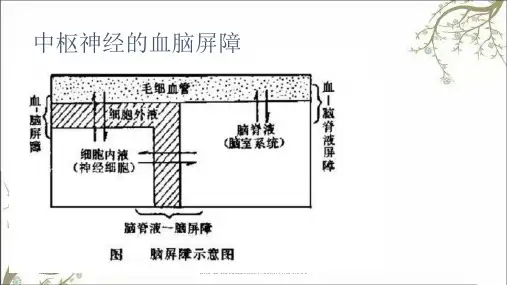 镇静催眠药抗癫痫药和抗精神病失常药