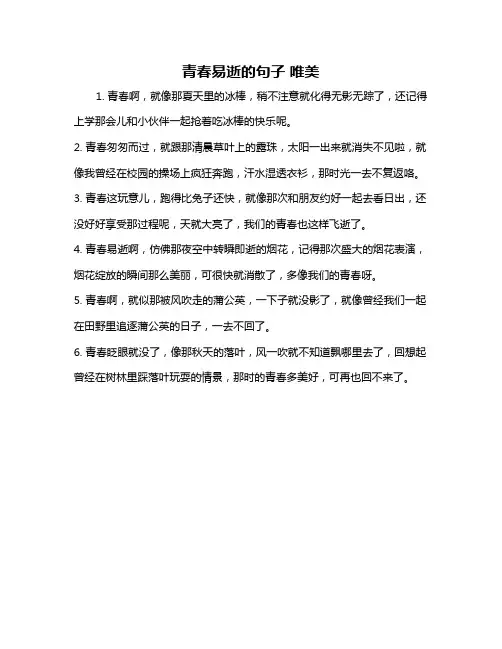 青春易逝的句子 唯美