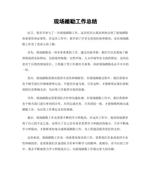 现场踏勘工作总结