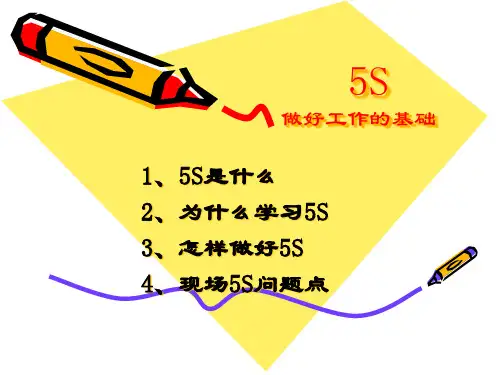 5S培训教材(PPT).pptx