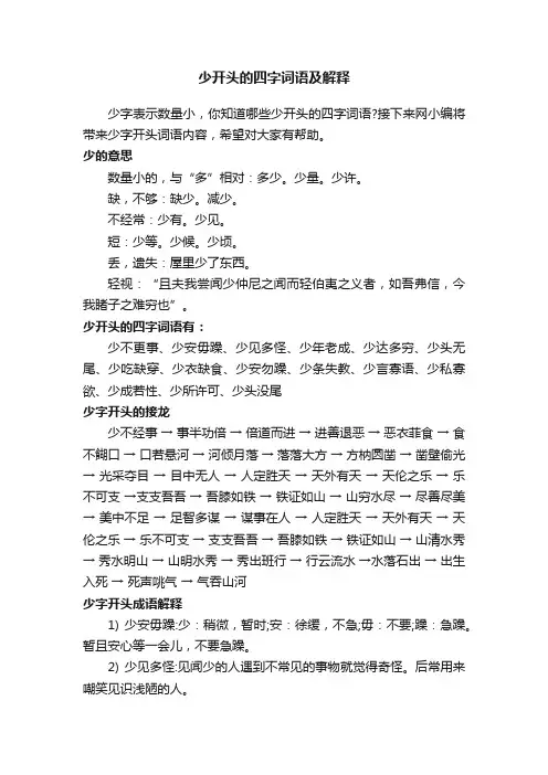 少开头的四字词语及解释