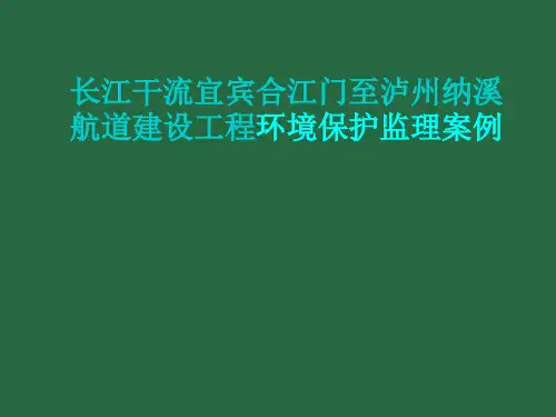 内河施工环境保护监理案例