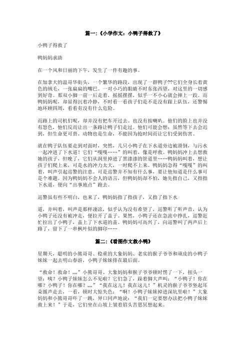 小鸭子的救了300字作文