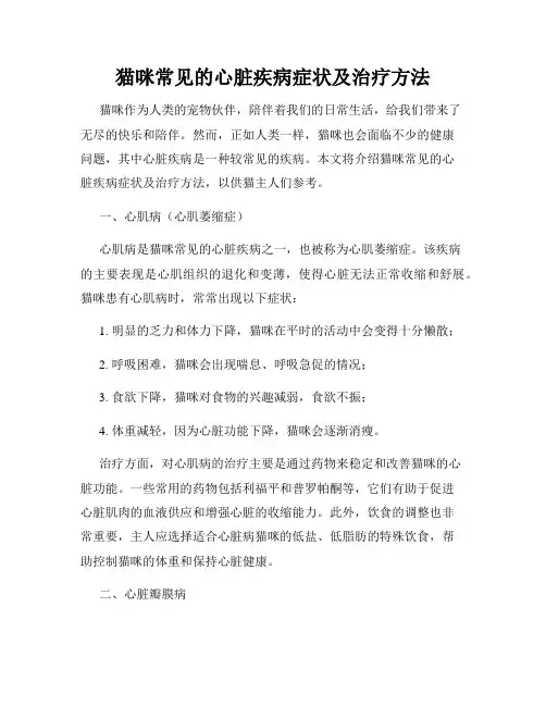 猫咪常见的心脏疾病症状及治疗方法