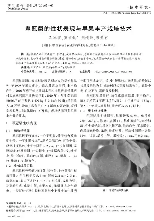 翠冠梨的性状表现与早果丰产栽培技术