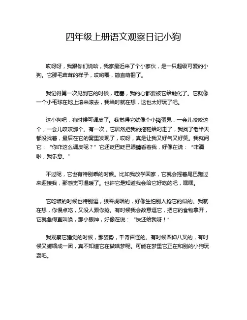 四年级上册语文观察日记小狗
