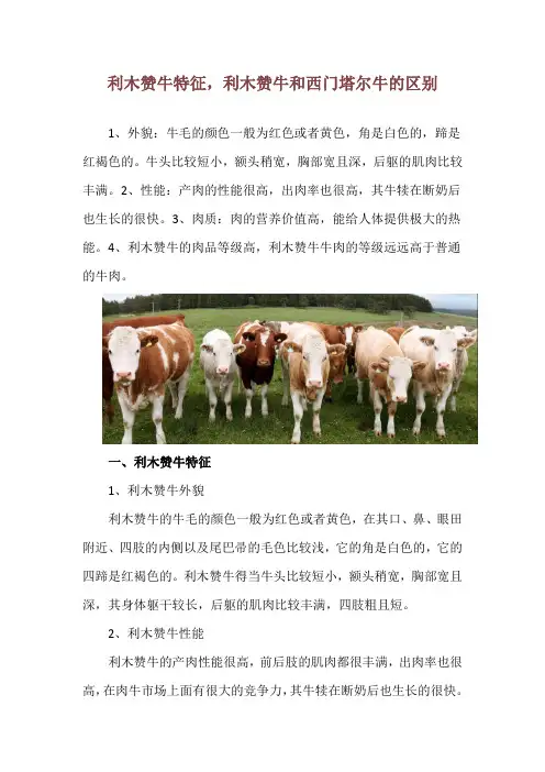 利木赞牛特征,利木赞牛和西门塔尔牛的区别