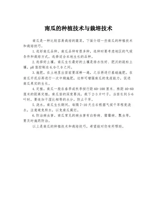 南瓜的种植技术与栽培技术