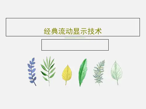 经典流动显示技术PPT118页