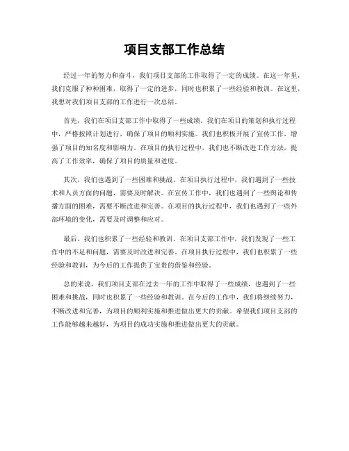 项目支部工作总结