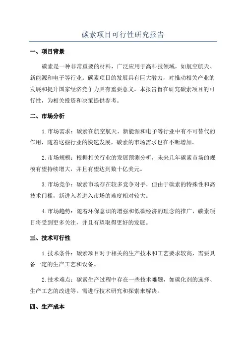 碳素项目可行性研究报告