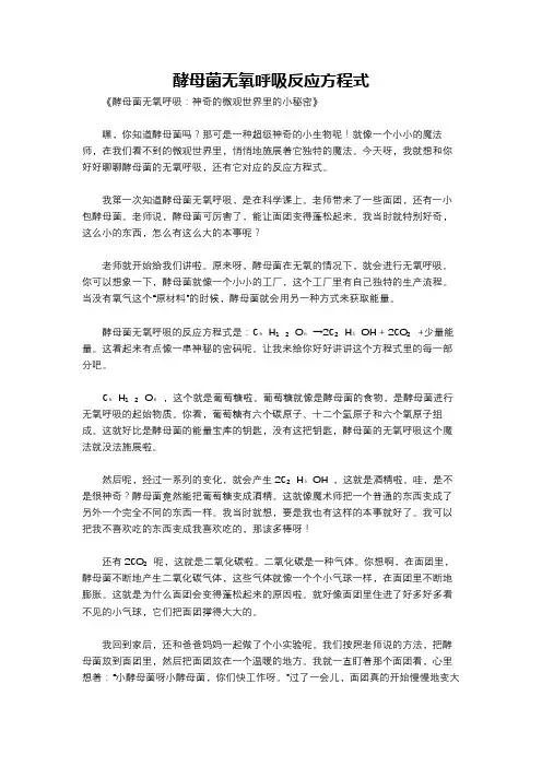 酵母菌无氧呼吸反应方程式