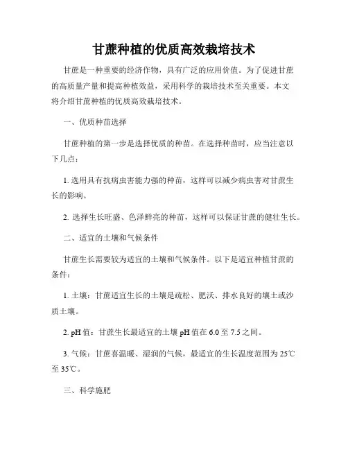 甘蔗种植的优质高效栽培技术