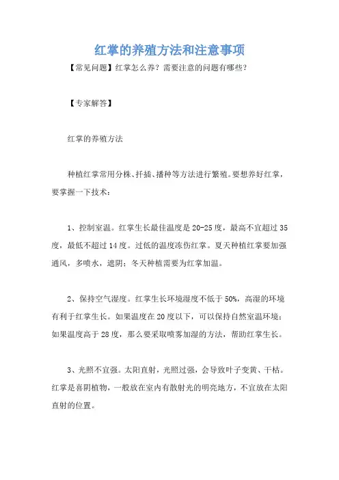 红掌的养殖方法和注意事项