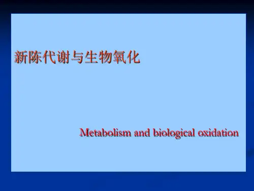新陈代谢与生物氧化讲解
