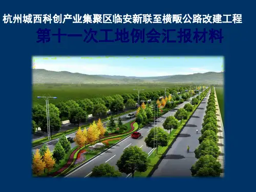 工地例会汇报材料PPT