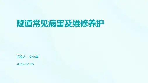 隧道常见病害及维修养护