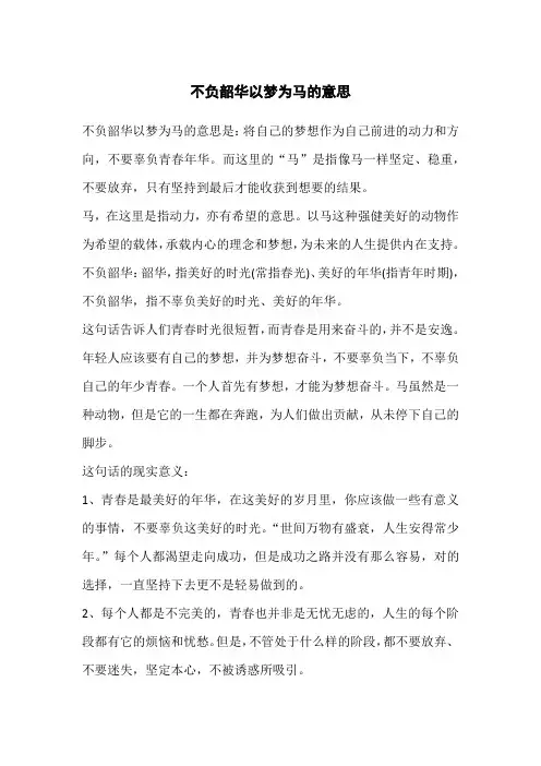 不负韶华以梦为马的意思