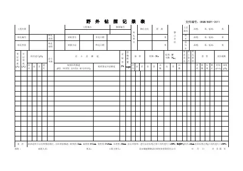 钻探记录表2 (新模板)