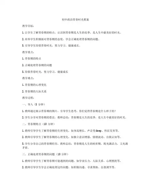 初中政治青春时光教案