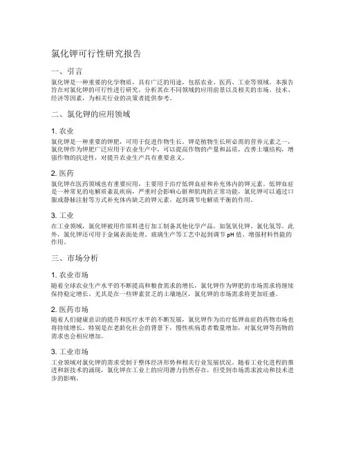 氯化钾可行性研究报告