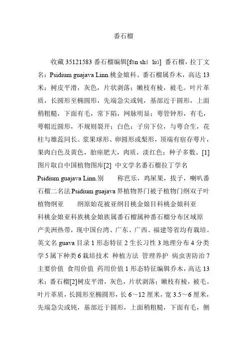 番石榴