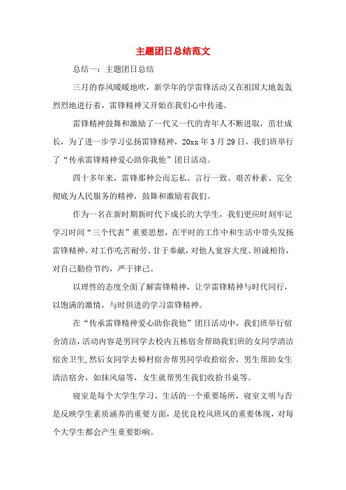 2019年主题团日总结范文