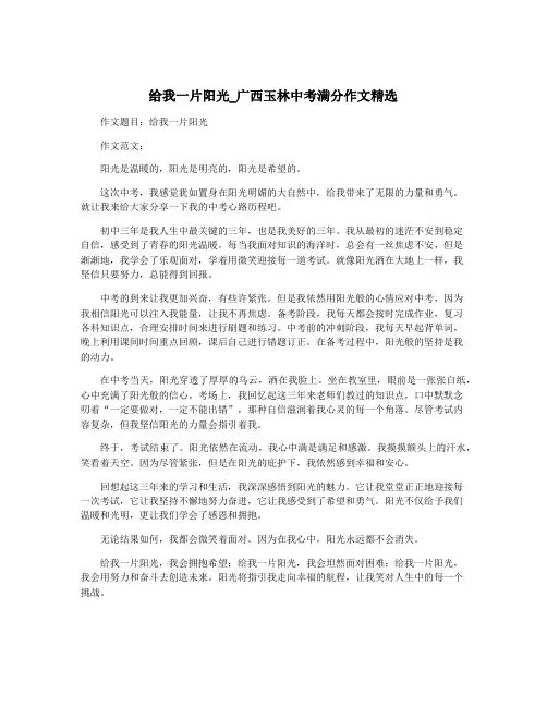 给我一片阳光_广西玉林中考满分作文精选