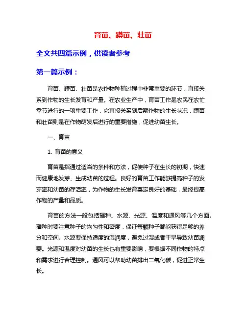 育苗、蹲苗、壮苗