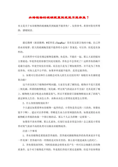 水培植物的玻璃瓶里到底能不能养鱼？