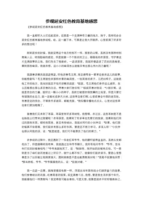 参观延安红色教育基地感想