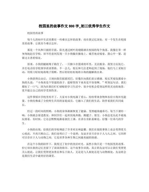 校园里的故事作文800字_初三优秀学生作文