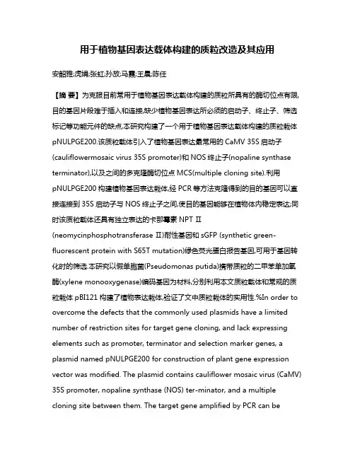 用于植物基因表达载体构建的质粒改造及其应用