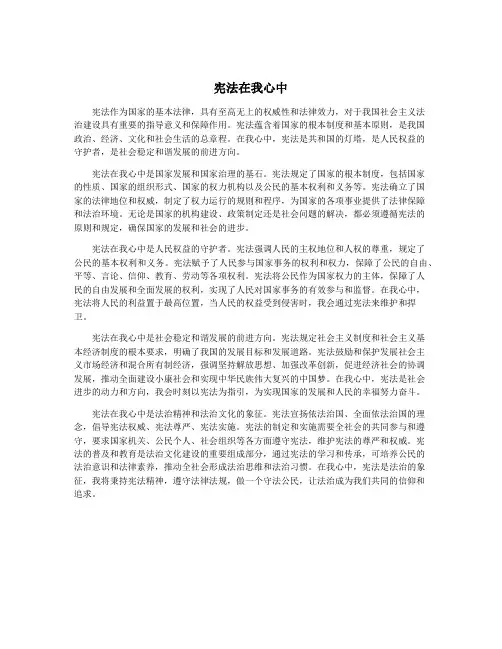 宪法在我心中