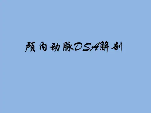 大脑动脉分段解剖图文