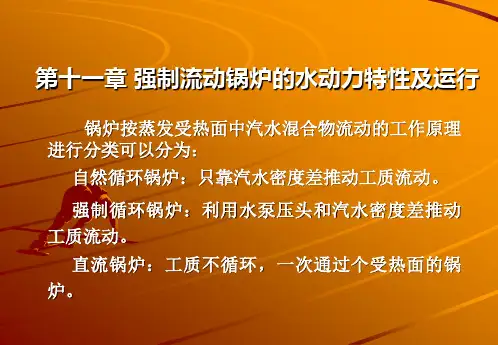 第十一章 强制流动锅炉及其水动力特性.