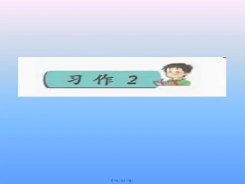 雏鹰争章争包括：先锋章自理章爱心章保健章民族章社会章(共11张PPT)