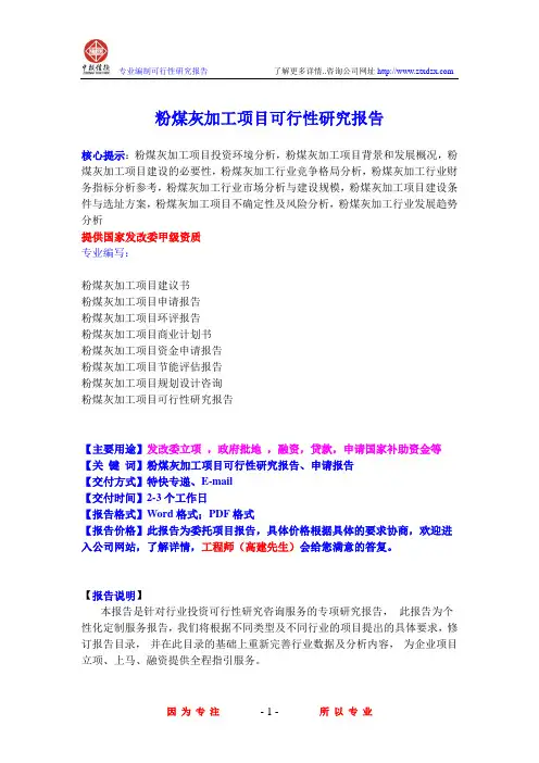 粉煤灰加工项目可行性研究报告